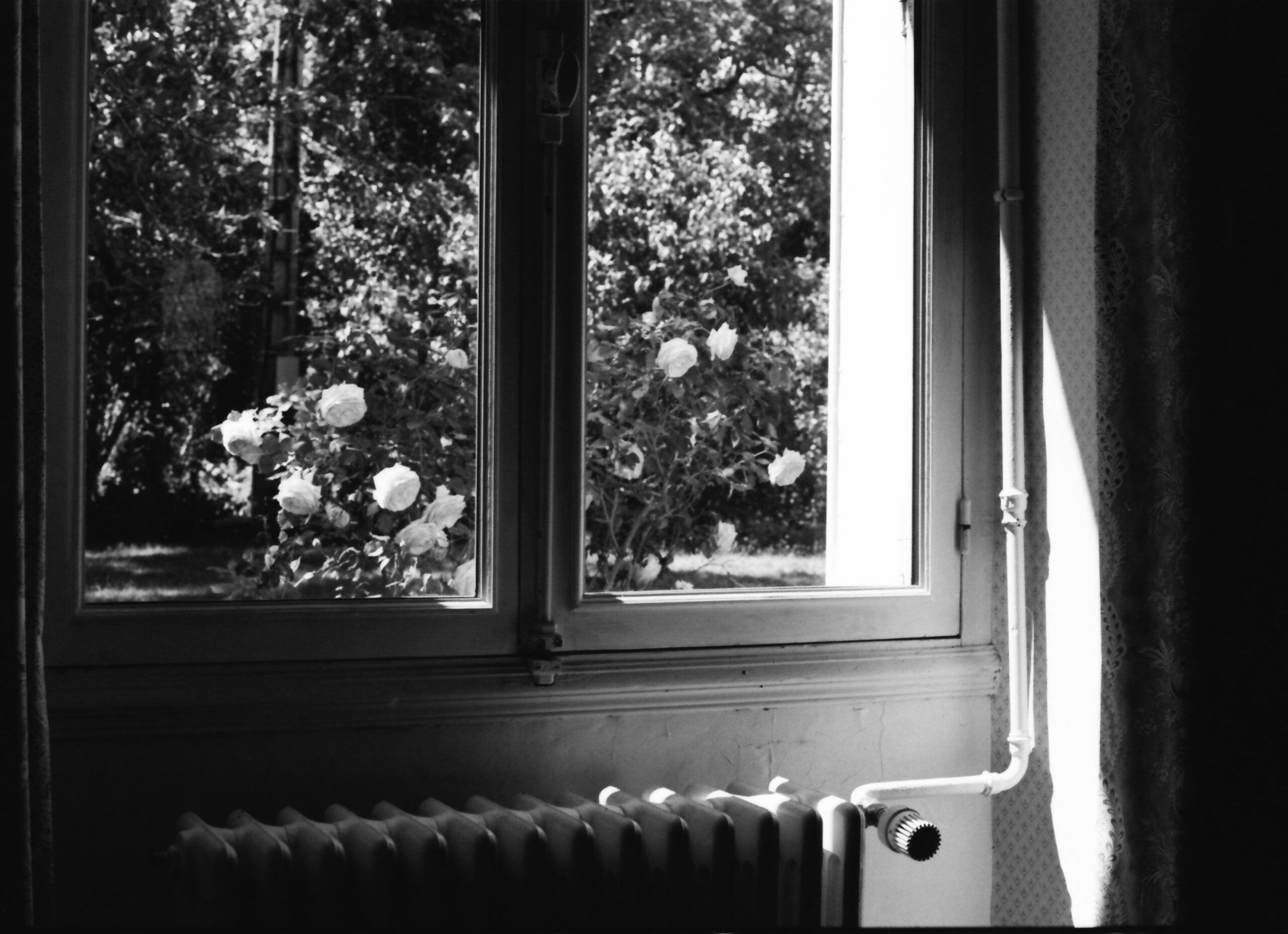 Argentique-11