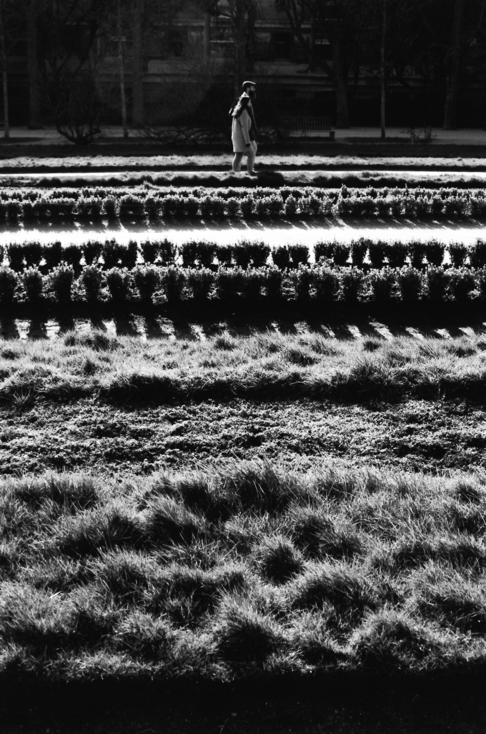 Argentique-7