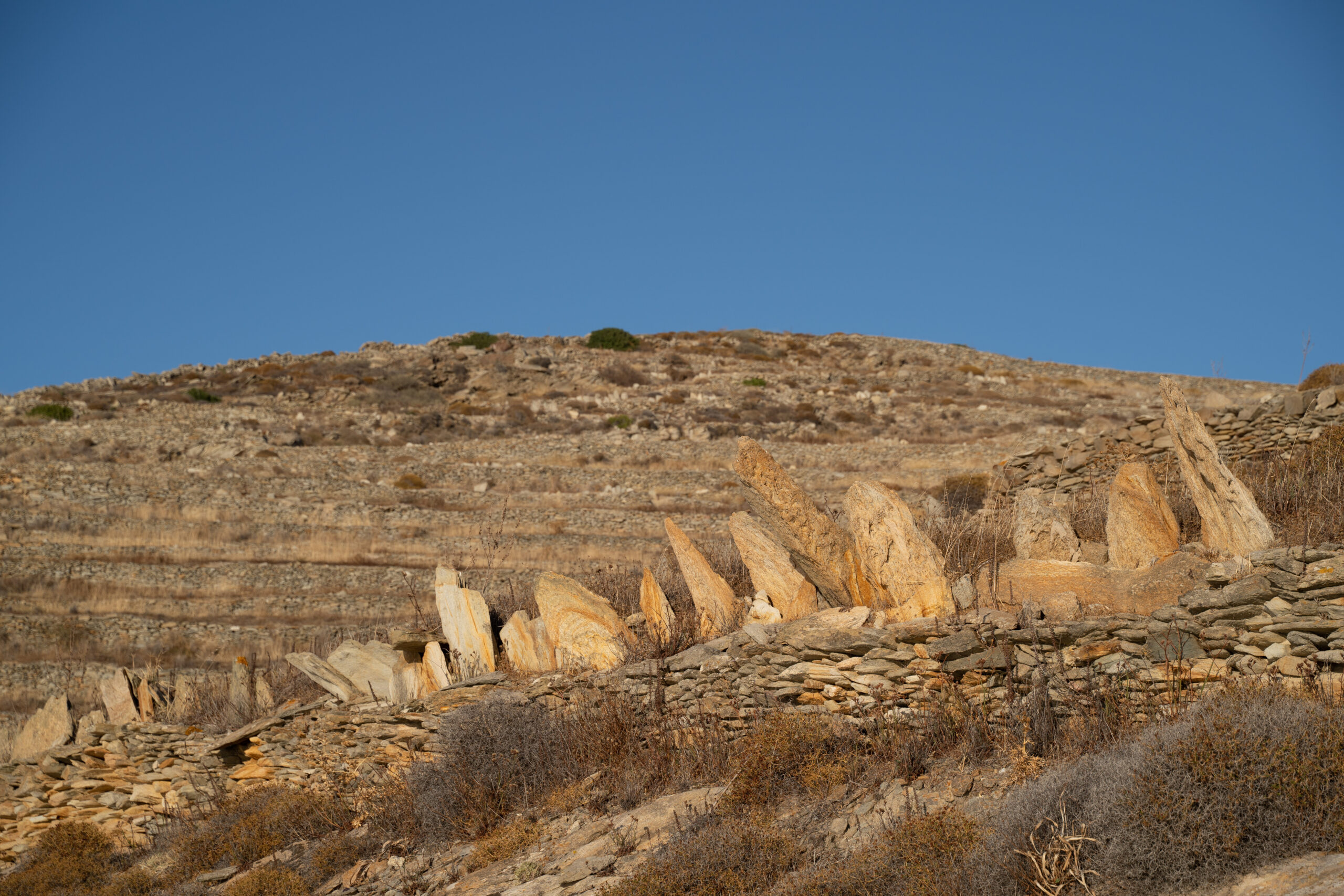 DSC07549-R