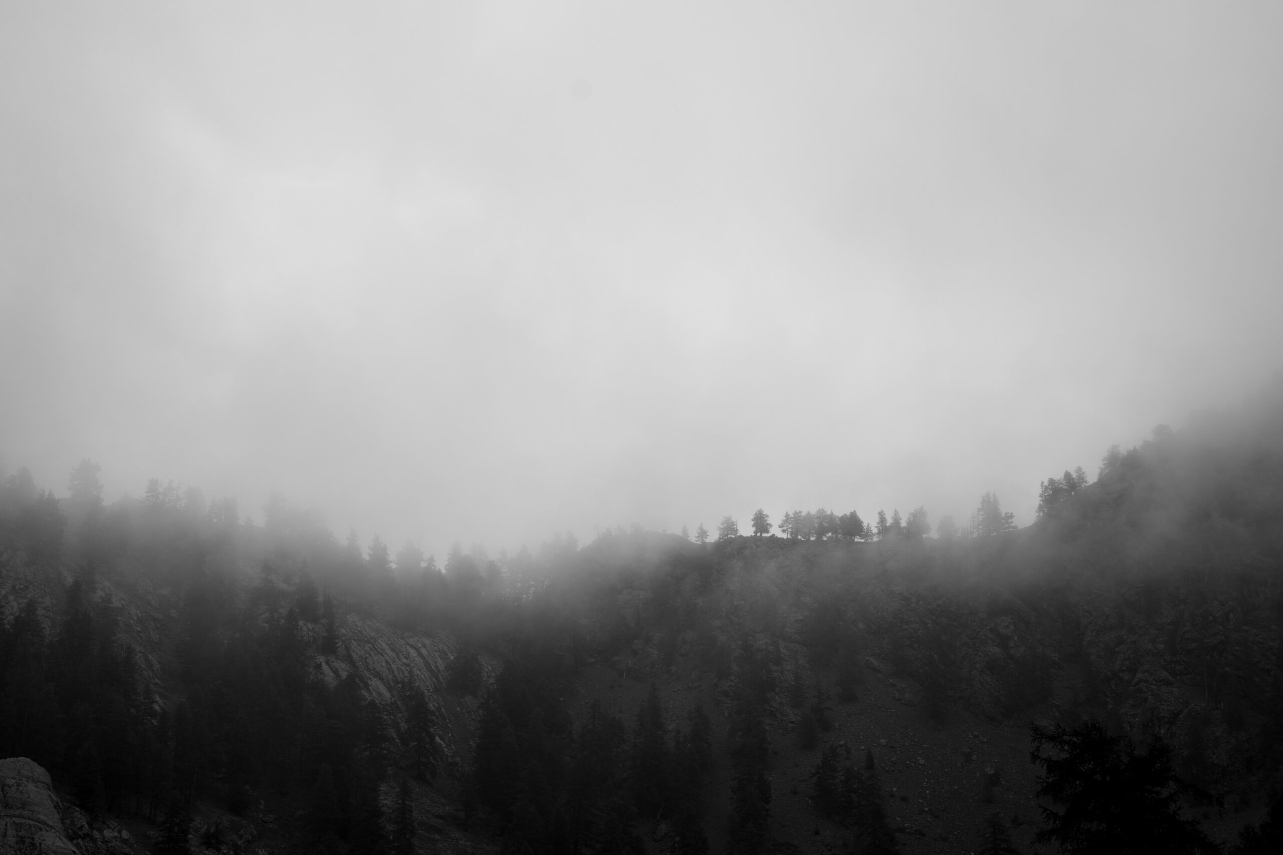DSC09837-R